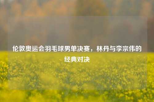 伦敦奥运会羽毛球男单决赛，林丹与李宗伟的经典对决