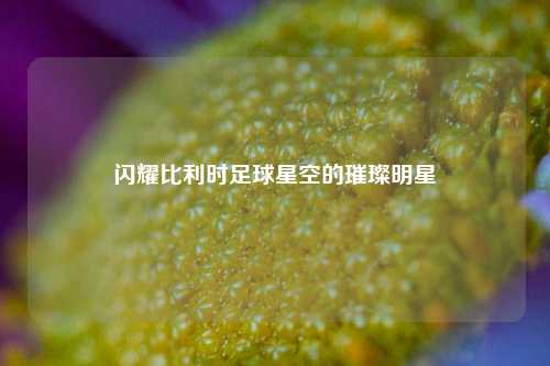 闪耀比利时足球星空的璀璨明星