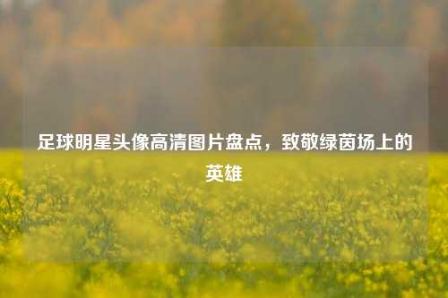 足球明星头像高清图片盘点，致敬绿茵场上的英雄