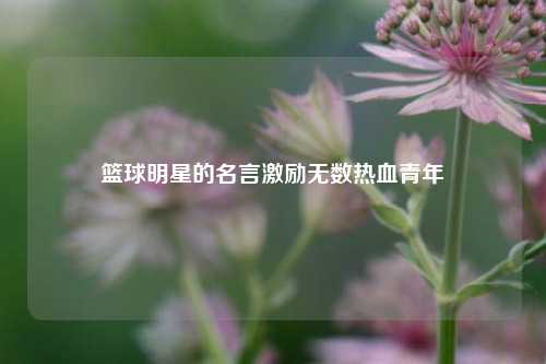 篮球明星的名言激励无数热血青年